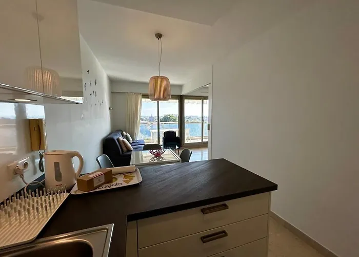 A018-large With Sea View Swimming Pool Garage * Cannes