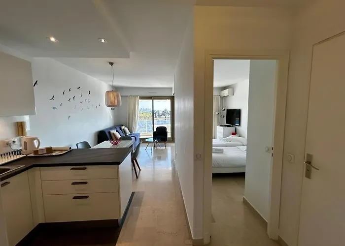 A018-large With Sea View Swimming Pool Garage Daire Cannes